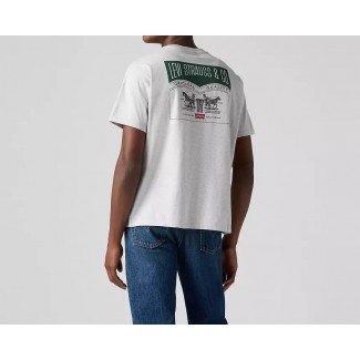 ΜΠΛΟΥΖΑ LEVI'S 873730256-GREY